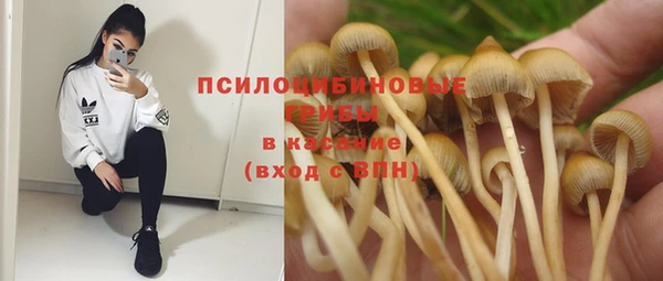 марки nbome Инта