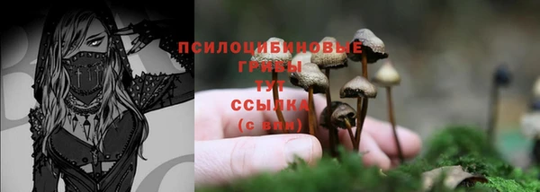 бутират Иннополис