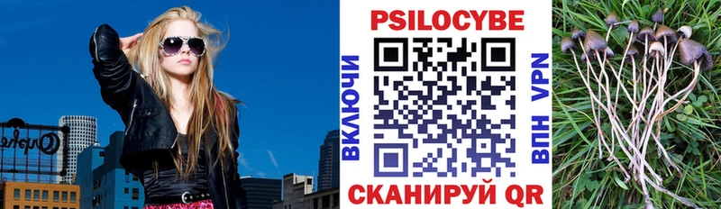 Купить  Знаменск  Псилоцибиновые грибы GOLDEN TEACHER 
